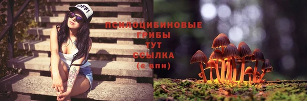 бутик Снежногорск
