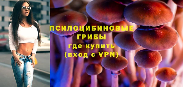 дурь Алексеевка