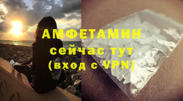 сатива Алзамай