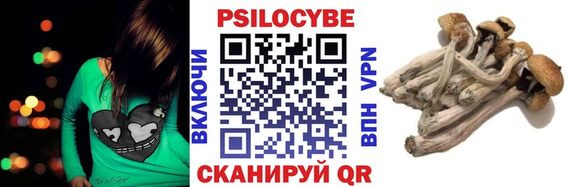 Галлюциногенные грибы Psilocybe  Вилючинск 